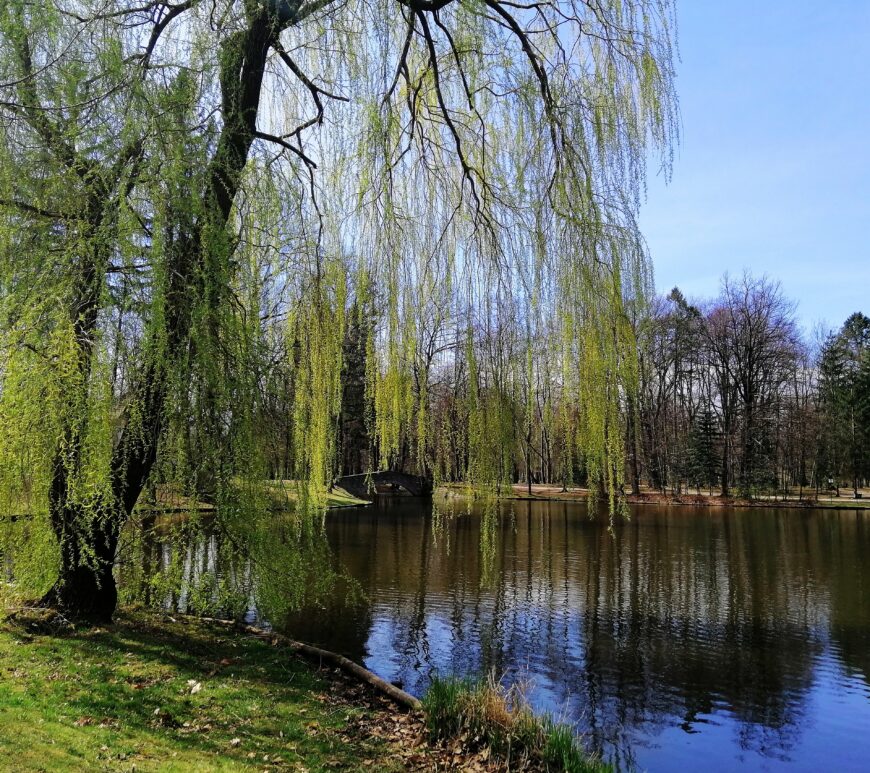 парки в Польщі